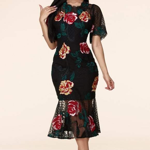 H.P. ⭐NWT -ELEGANT EMBROIDERED FLORAL LACE DRESS - Picture 3 of 8